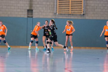Bild 210 - Frauen OL TuS Esingen - SG Niendorf/Wandsetal : Ergebnis: 24:17